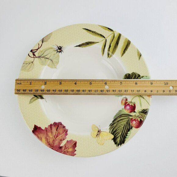 Spode Fruit Haven Rim Soup Bowl Butterfly Bee Fruit & Leaves, Fall Autumn Dishes - Picture 12 of 15